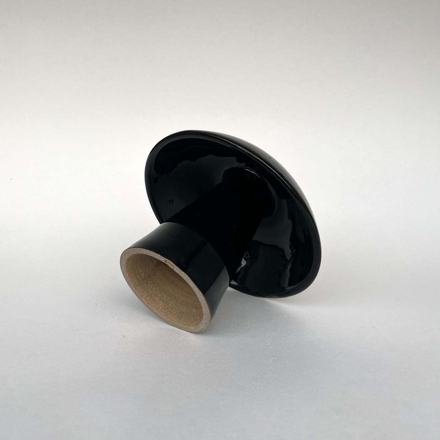 Hongo Pequeño Negro