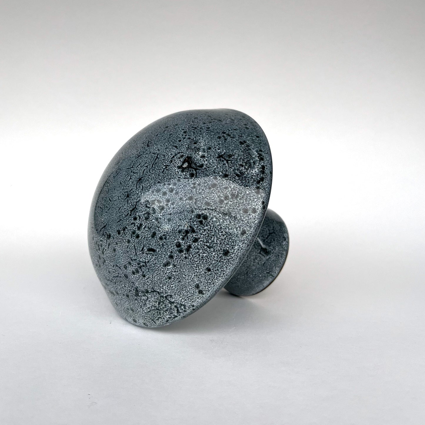 Hongo Mediano Azul Acero