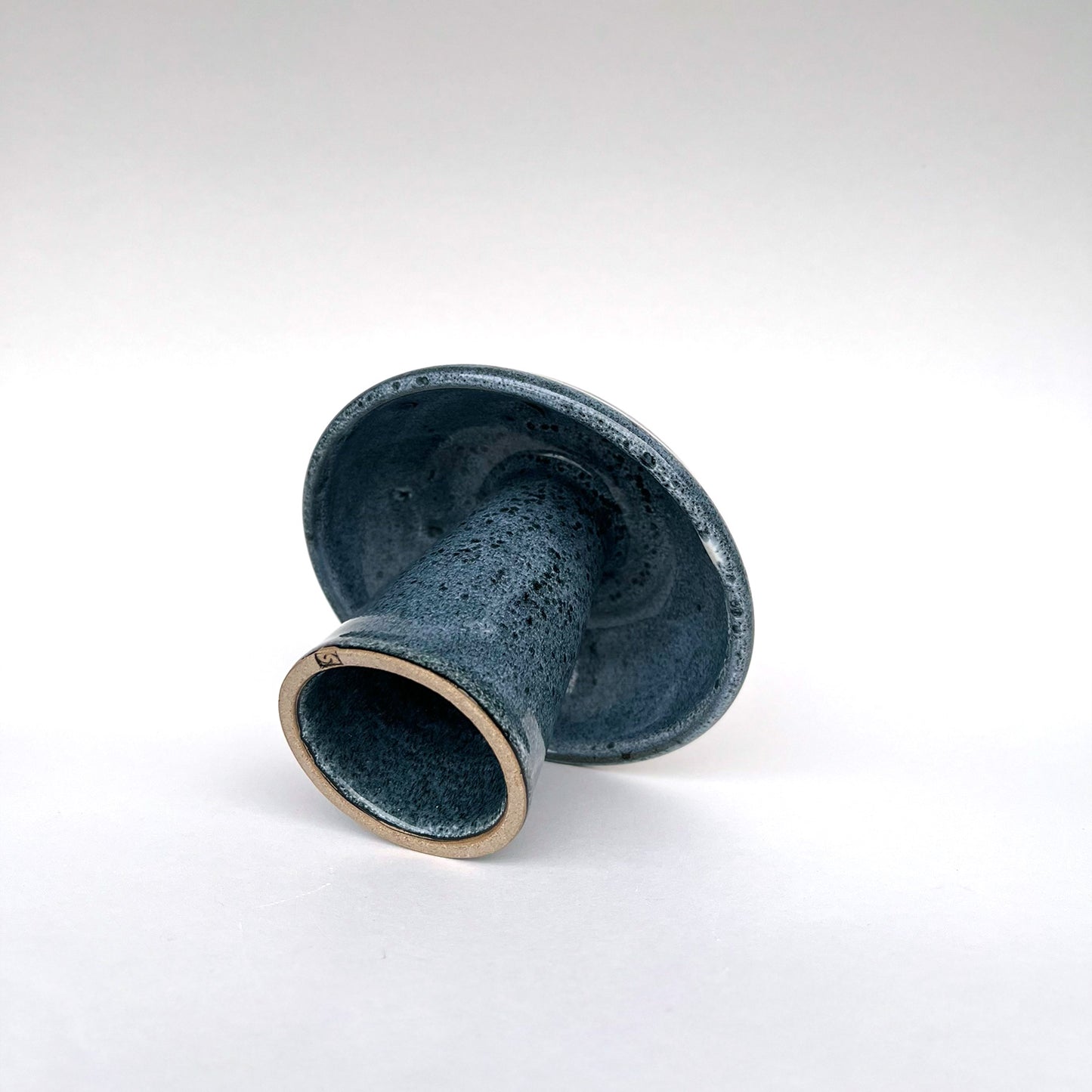 Hongo Mediano Azul Acero