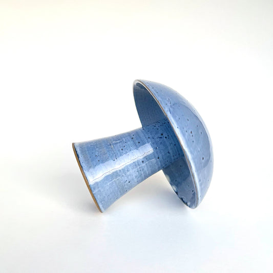 Hongo Mediano Azul Claro