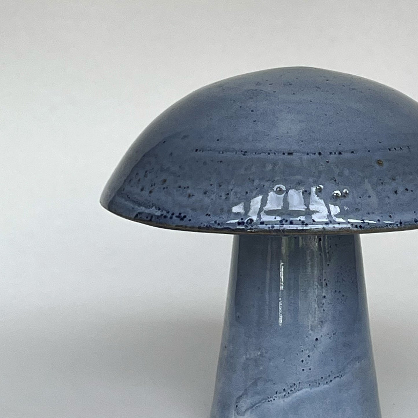 Hongo Mediano Azul Claro