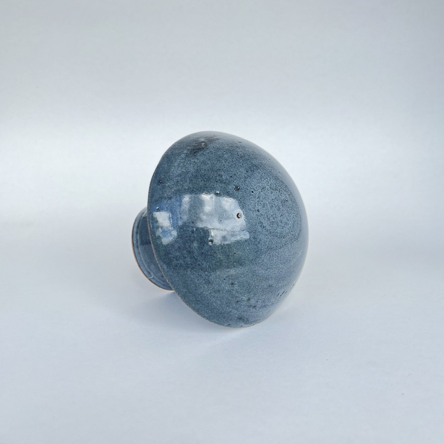 Hongo Pequeño Azul Acero