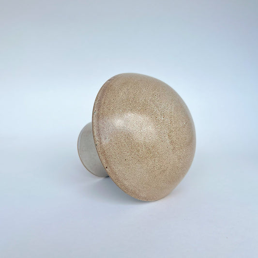 Hongo Mediano Café Matte