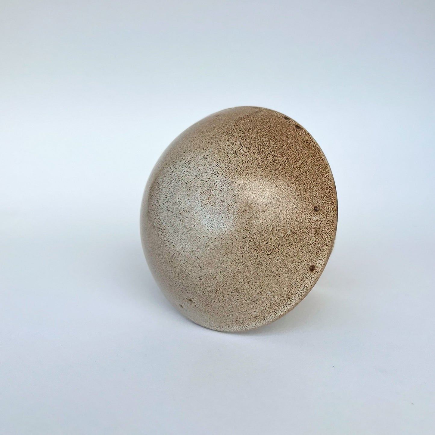 Hongo Mediano Café Matte