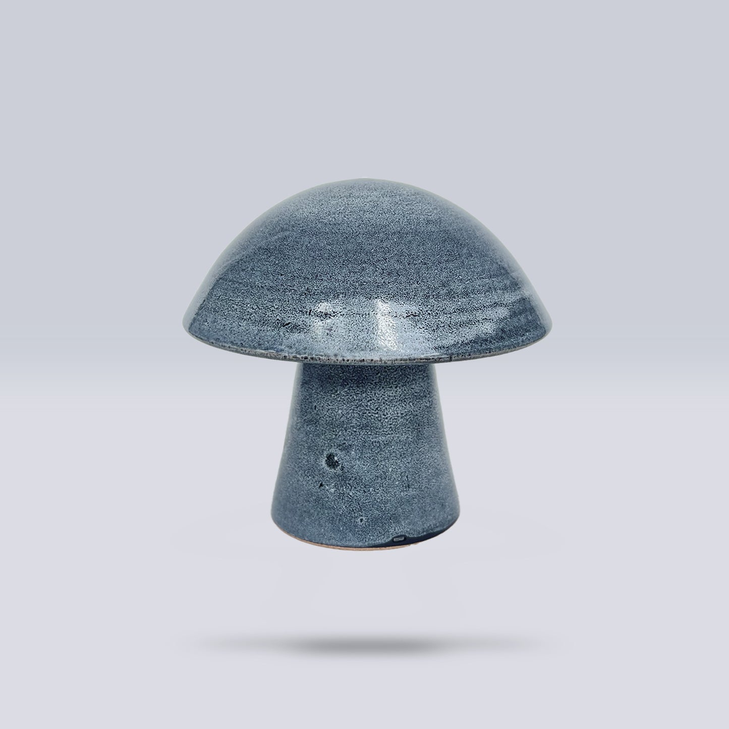 Hongo Mediano Azul Acero