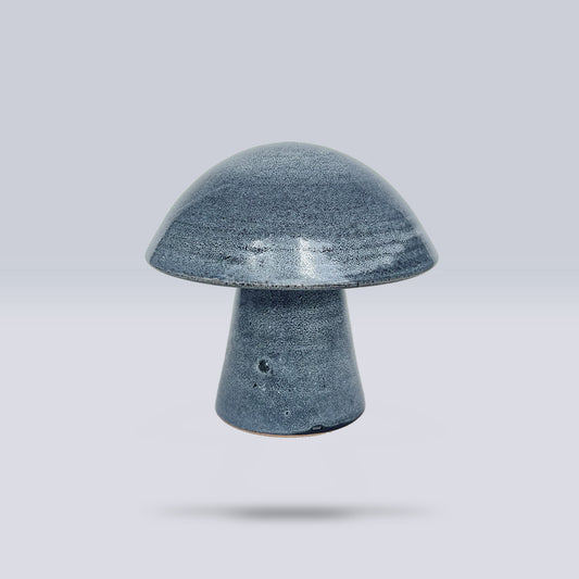 Hongo Mediano Azul Acero