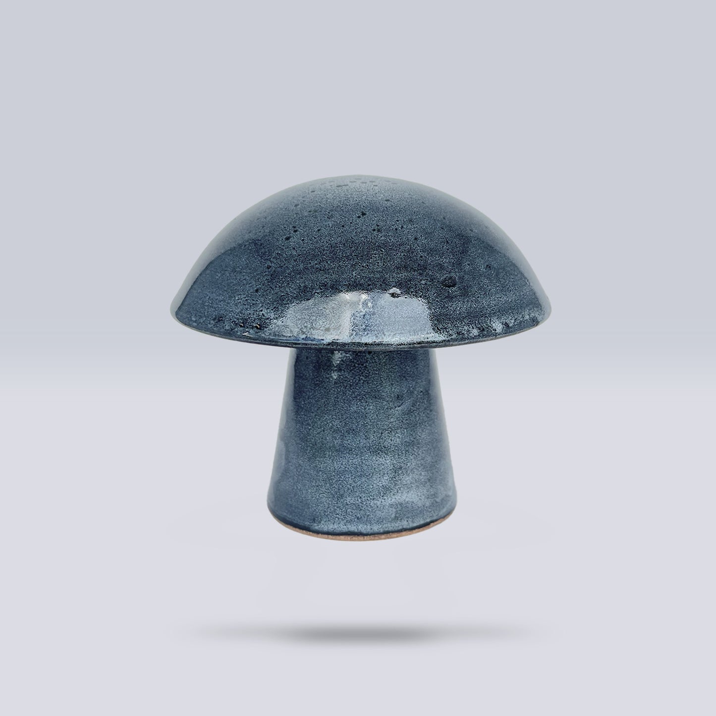 Hongo Mediano Azul Acero