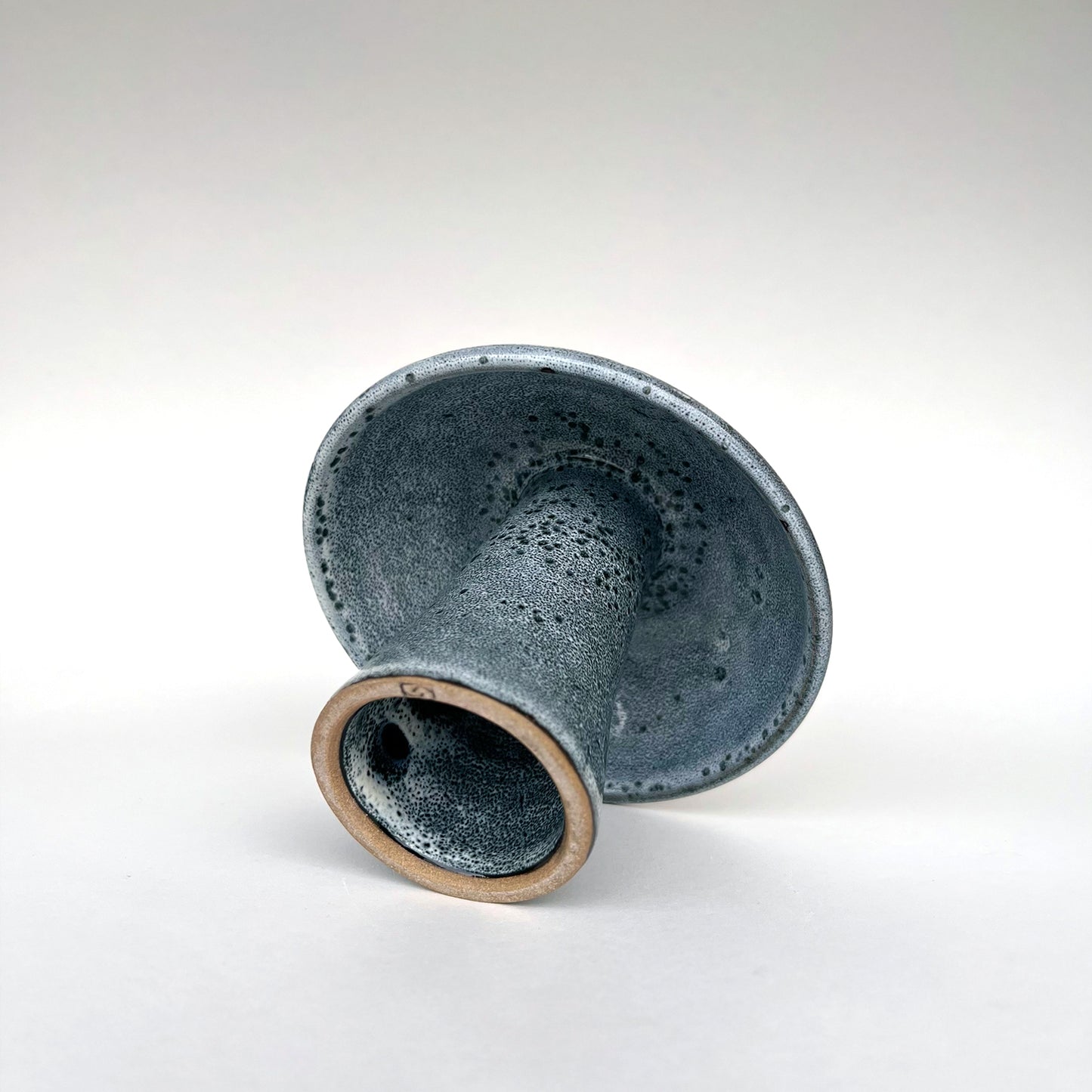 Hongo Mediano Azul Acero