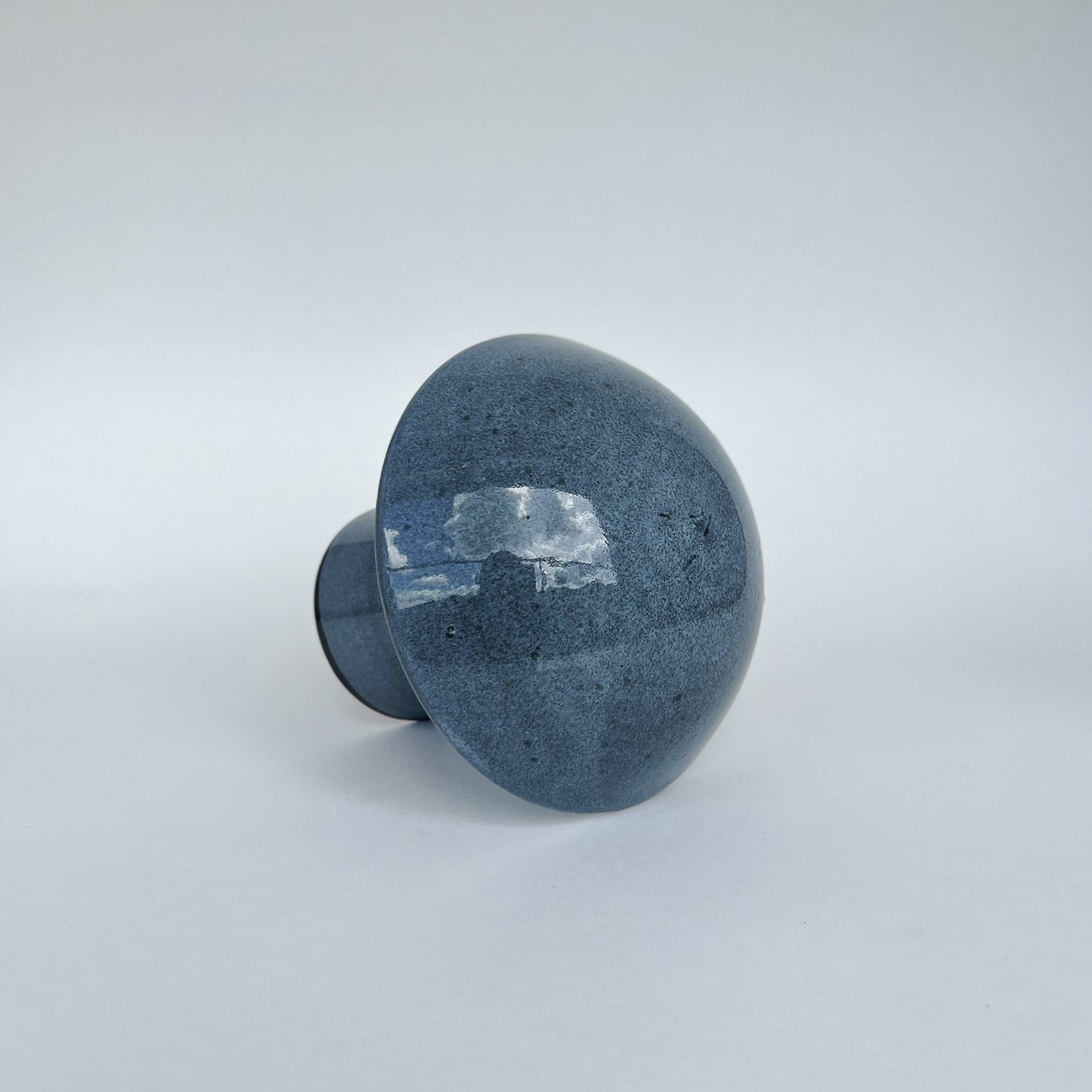 Hongo Mediano Azul Acero