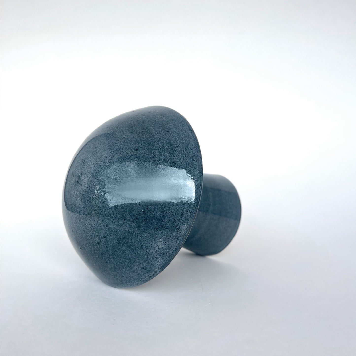 Hongo Mediano Azul Acero