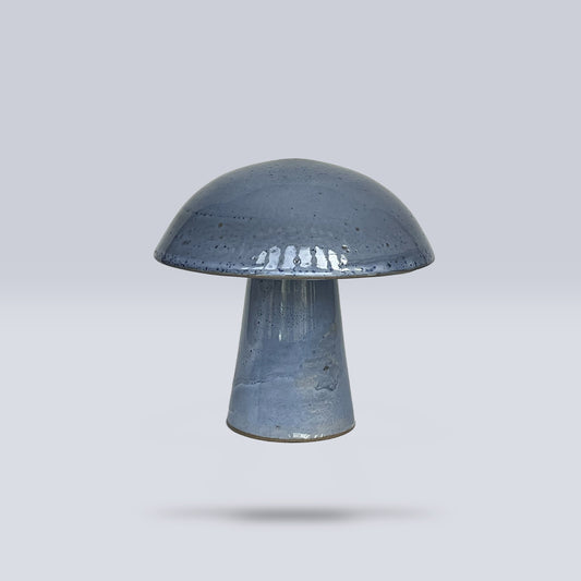 Hongo Mediano Azul Claro