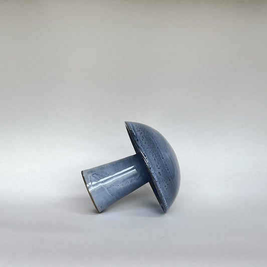 Hongo Mediano Azul Claro