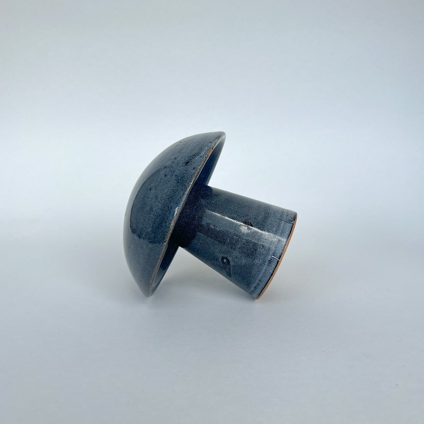 Hongo Pequeño Azul Acero