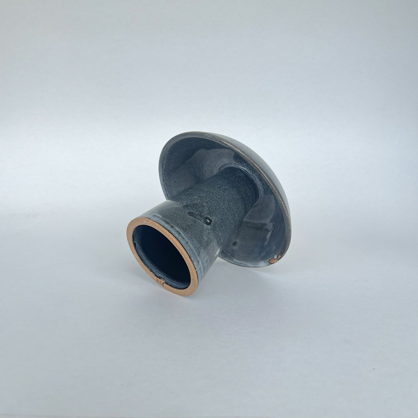 Hongo Pequeño Azul Acero