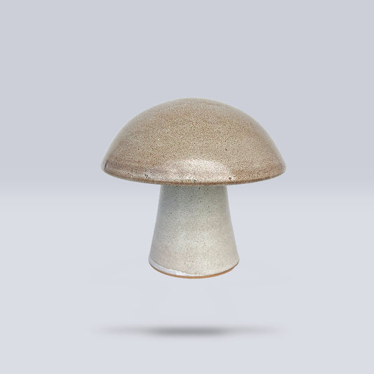 Hongo Mediano Café Matte