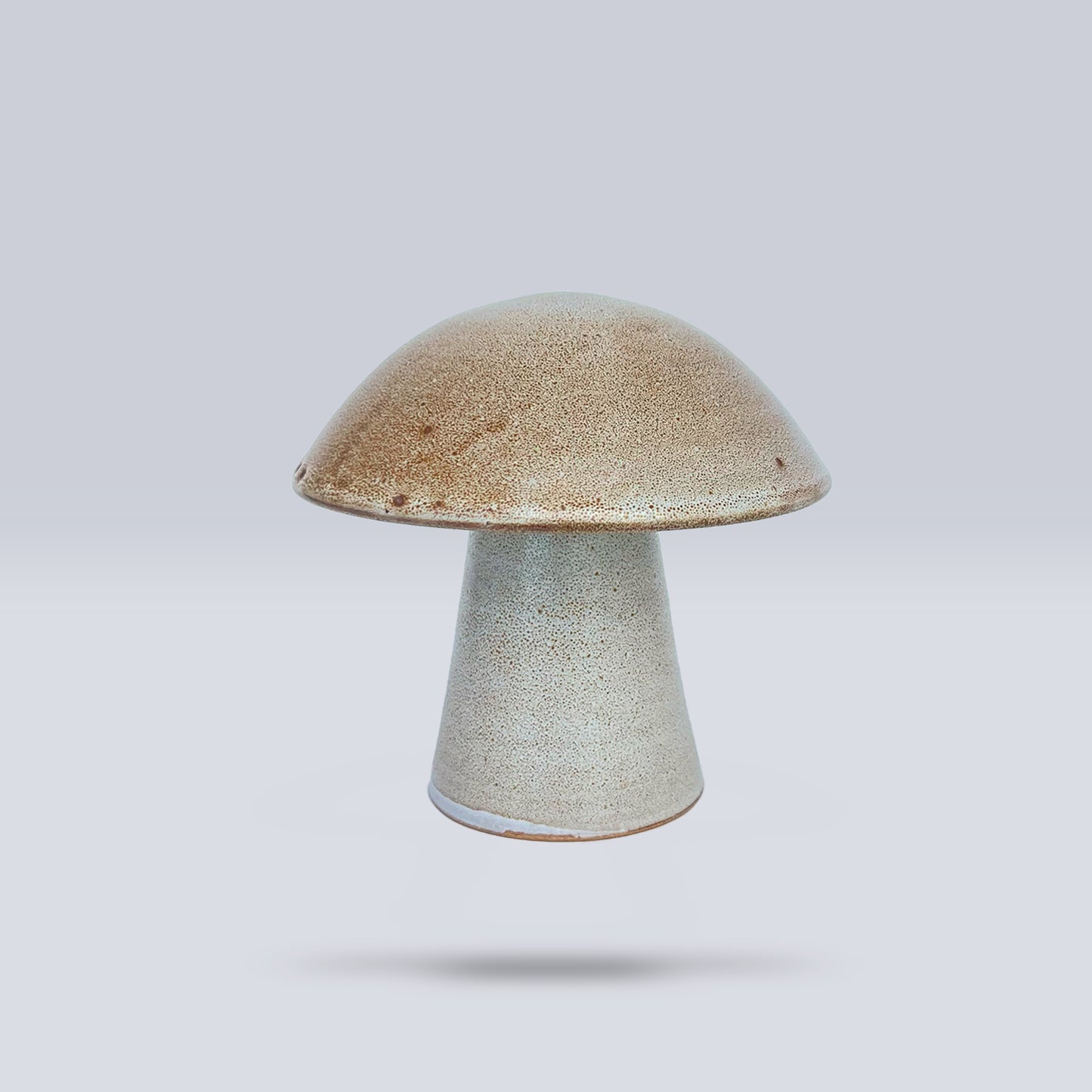 Hongo Mediano Café Matte