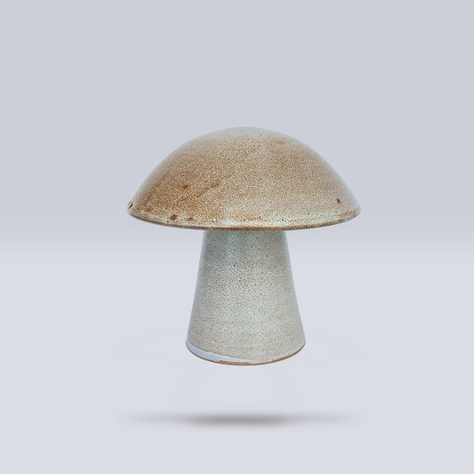 Hongo Mediano Café Matte