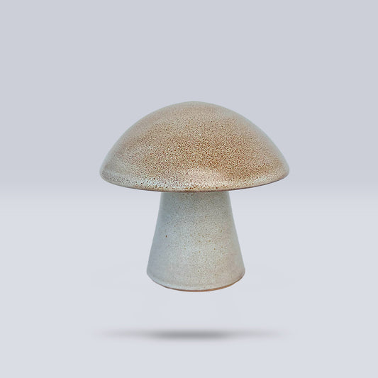 Hongo Mediano Café Matte