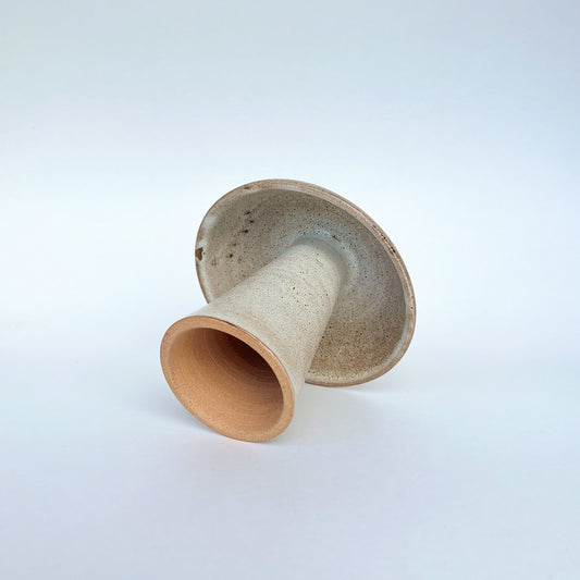 Hongo Mediano Café Matte