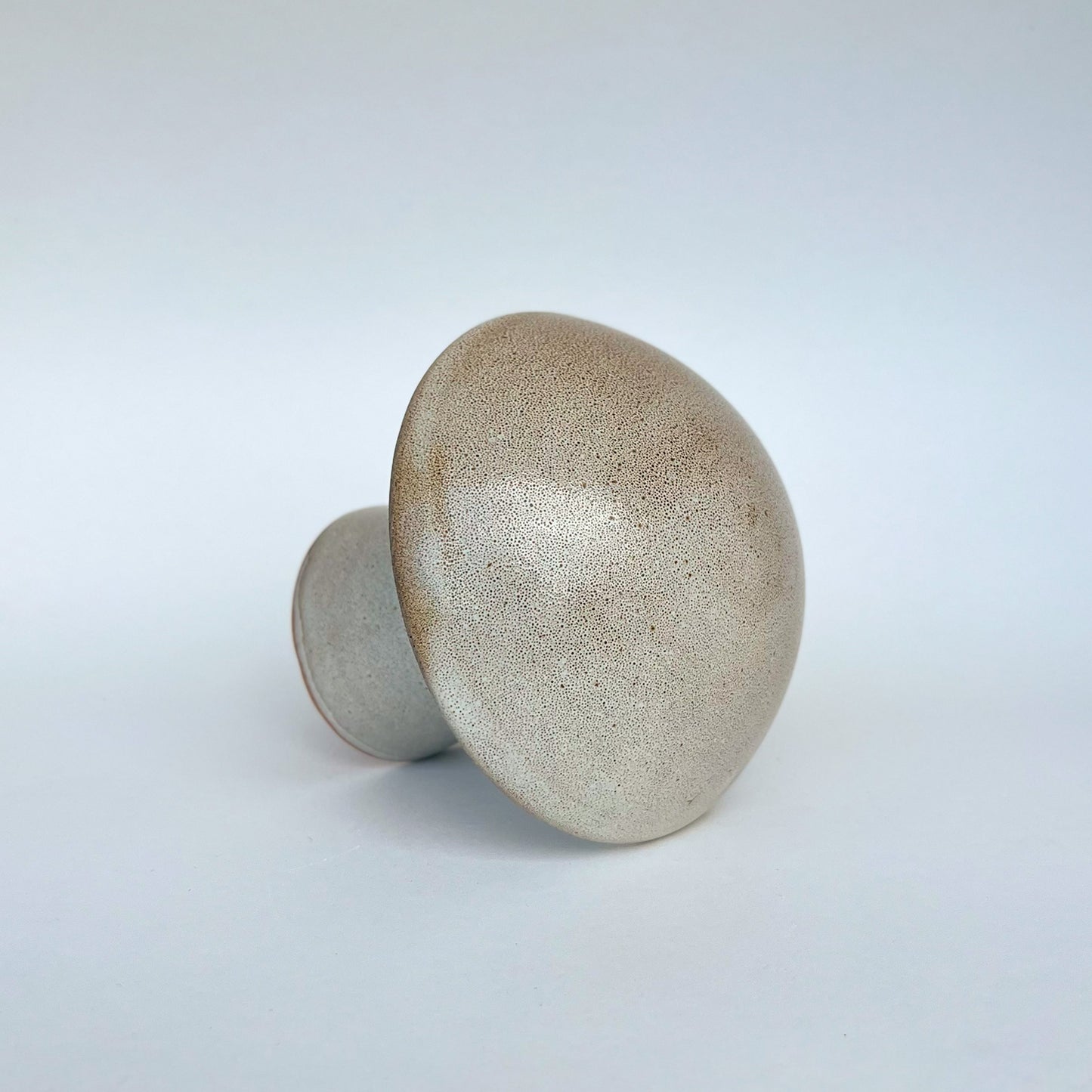 Hongo Mediano Café Matte