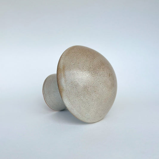 Hongo Mediano Café Matte