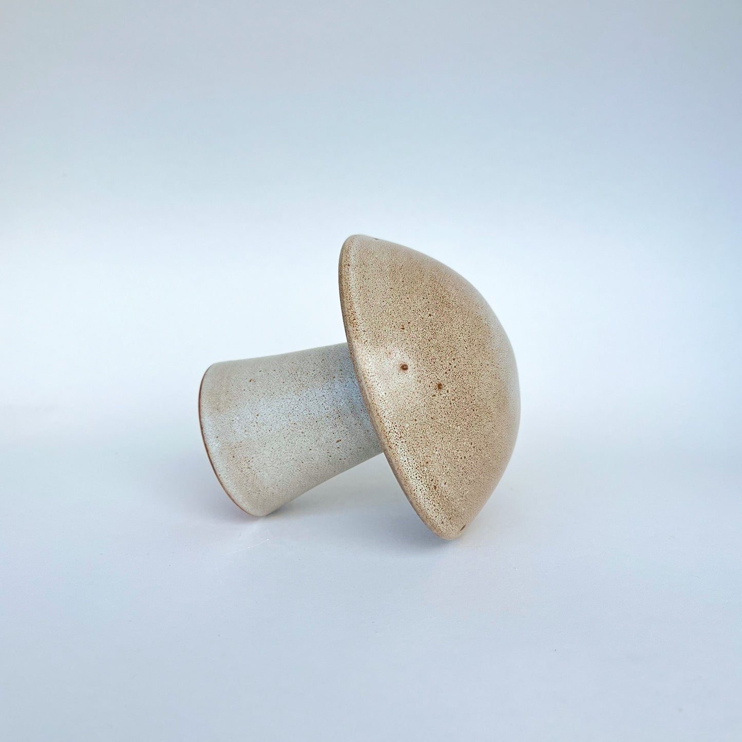 Hongo Mediano Café Matte