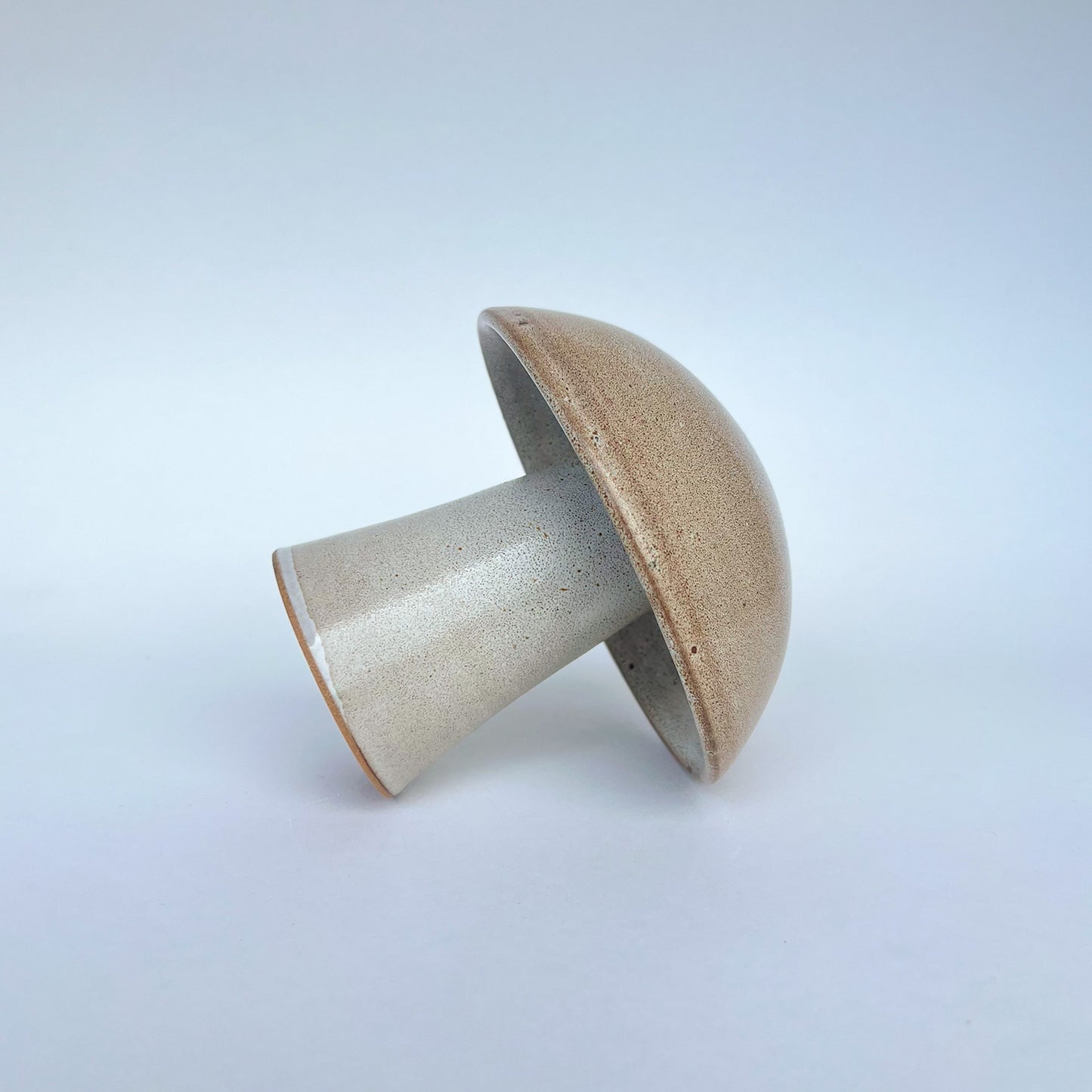 Hongo Mediano Café Matte