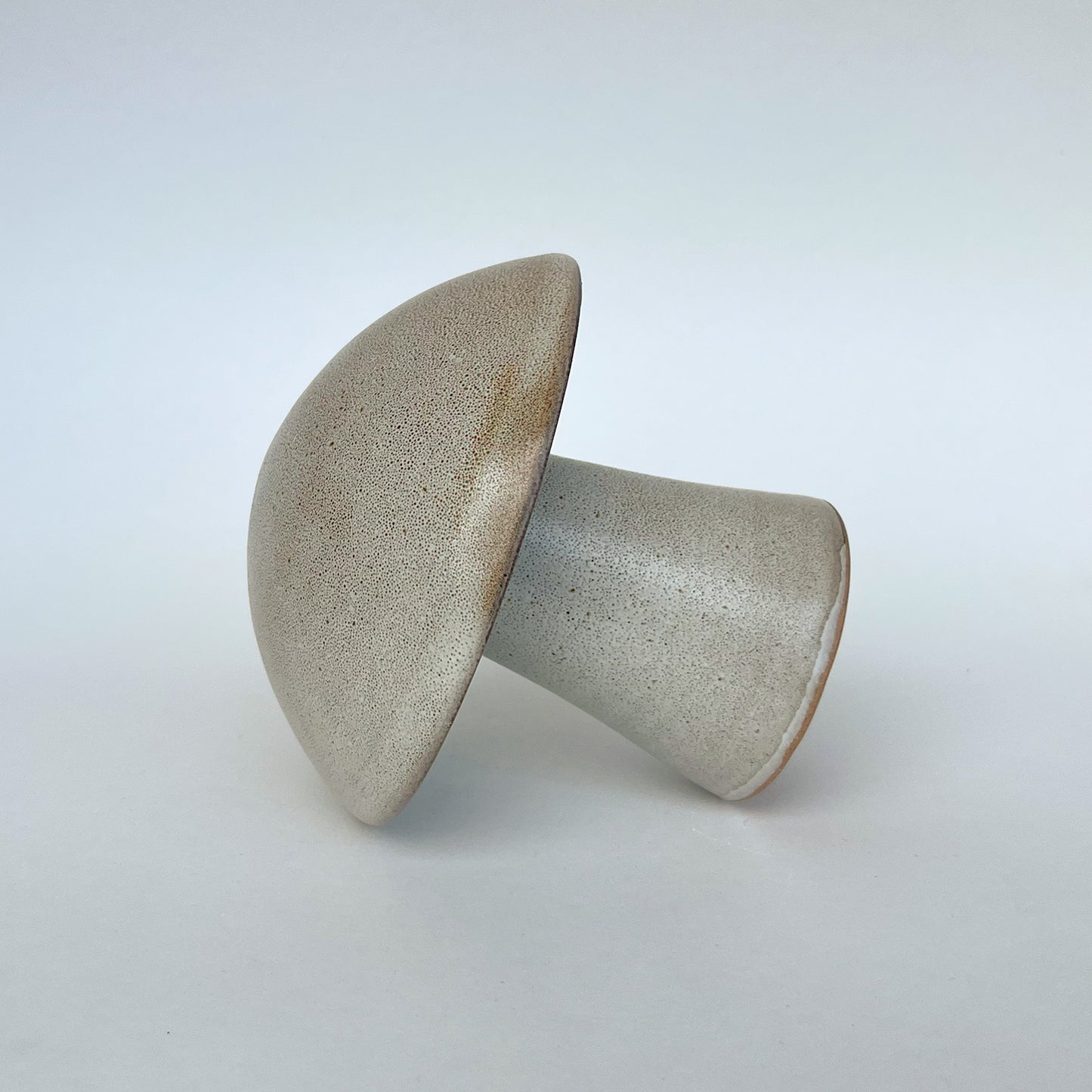 Hongo Mediano Café Matte