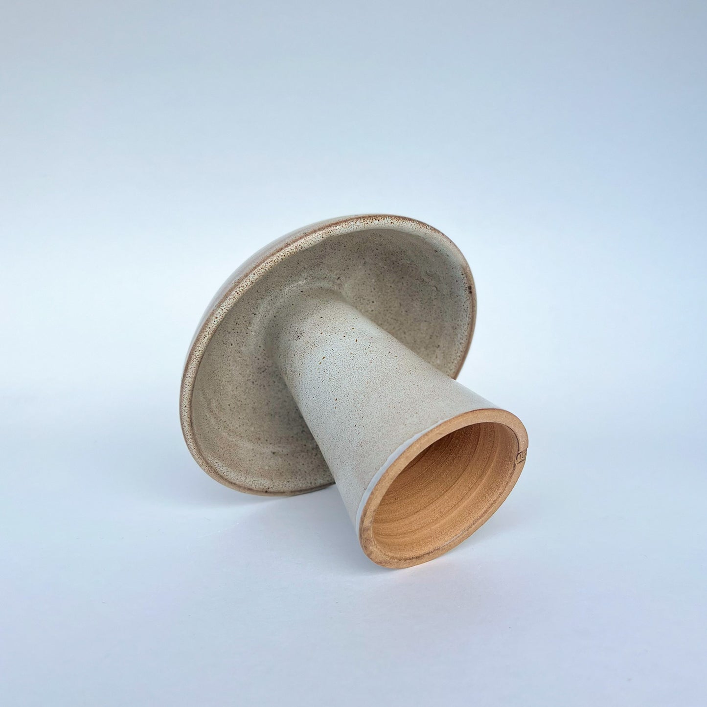 Hongo Mediano Café Matte