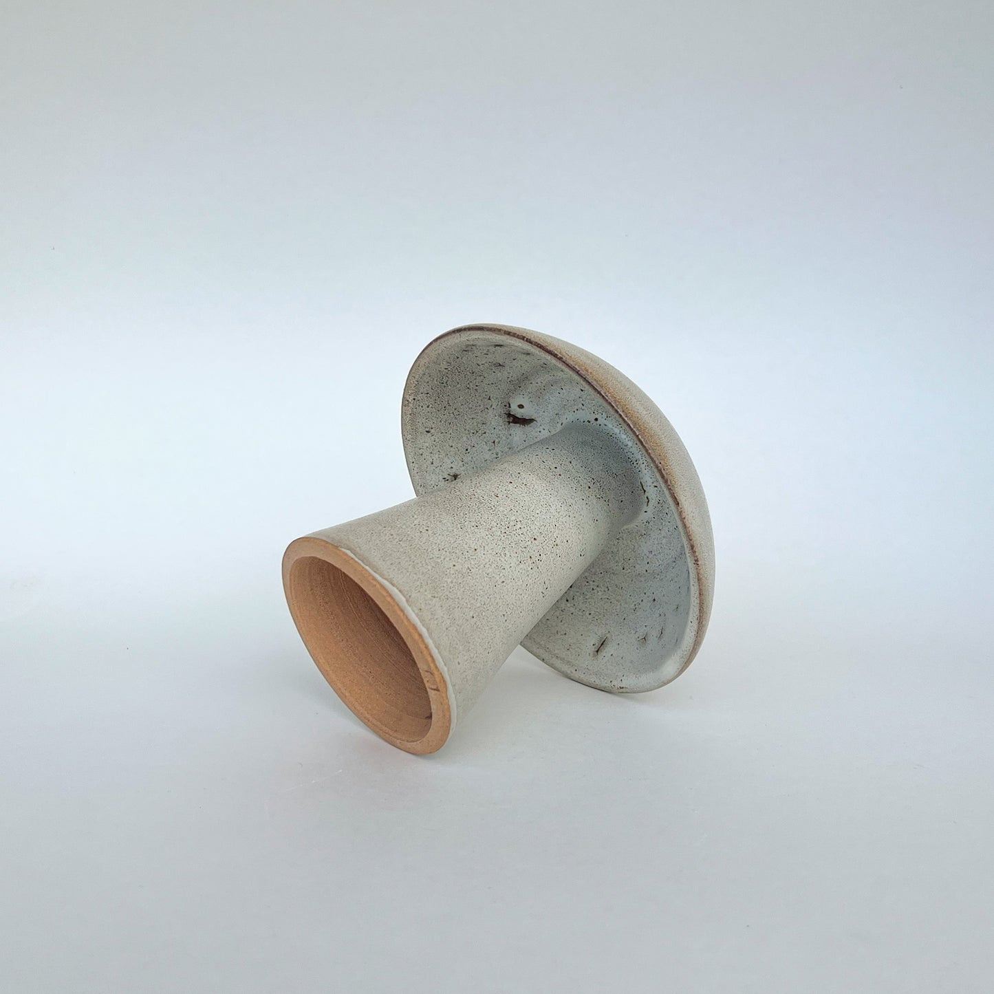 Hongo Mediano Café Matte